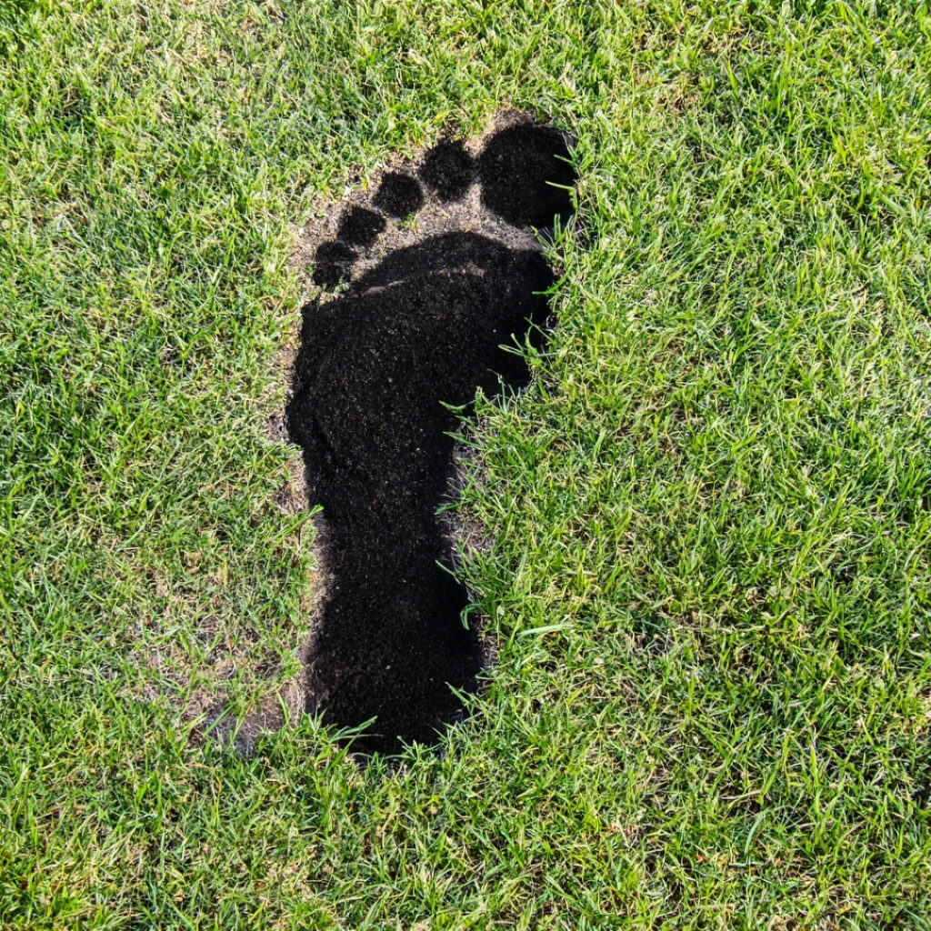 black footprint on grass