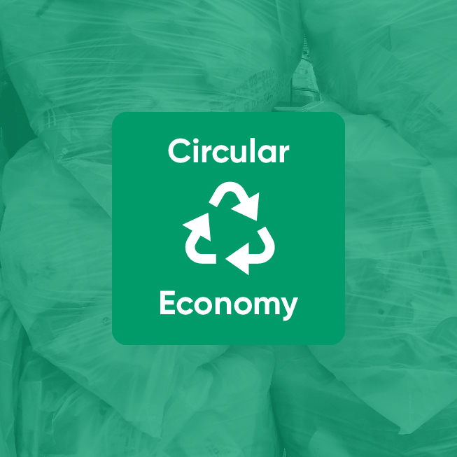 Circular Economy icon