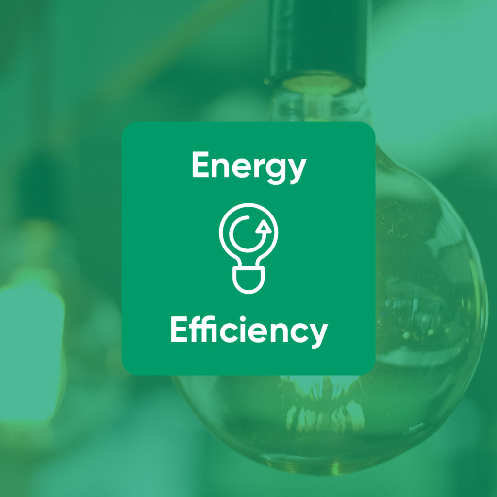 Energy efficiency icon