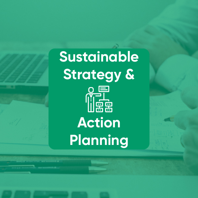 Sustainable strategy icon